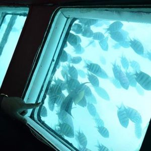 Aqua-Ship-Kishyab-2